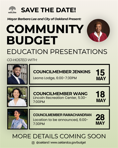 community budget.png