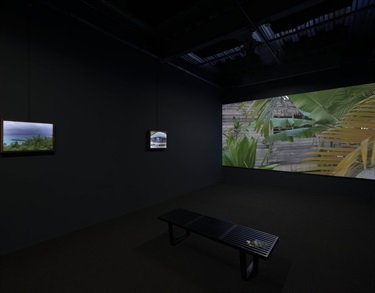 A video art installation. 