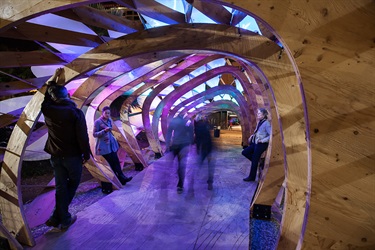 People viewing an interactive art installation. 