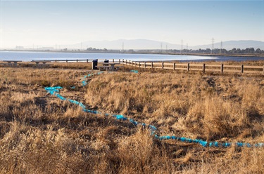 A landscape of brown grass and a body of water in the distance. 