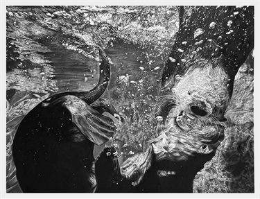 A drawing of an otter in water. 