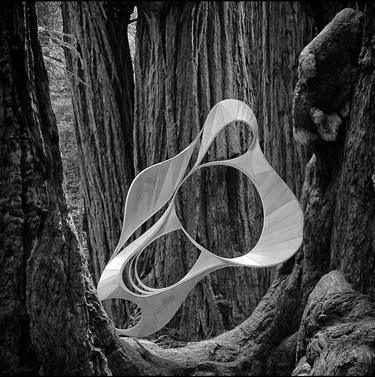 An abstract sculpture in a tree.