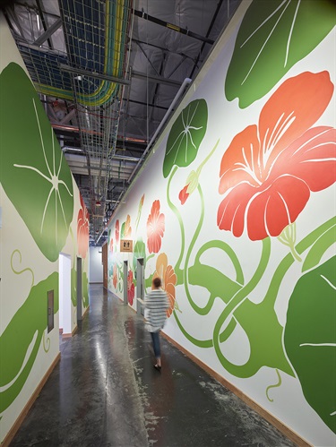 A colorful mural painted on a wall.