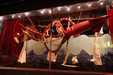 An art installation in a storefront window. 