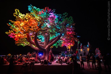 People gathered around a tree sculpture with illuminated leaves. 