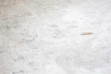 A piece of abstract artwork. 