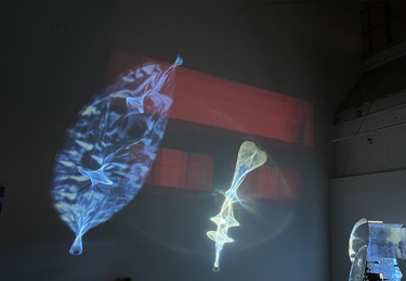 A light projection on a wall.