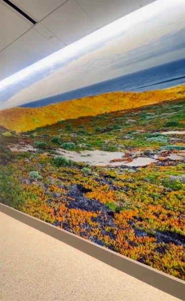 A wall with an image of an ocean scene.