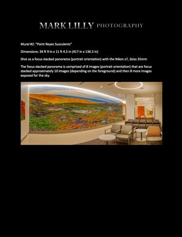 A photo of a wall with art on it. 