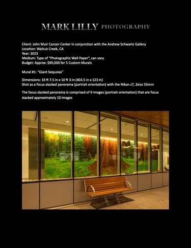 A photo of a wall with art on it. 