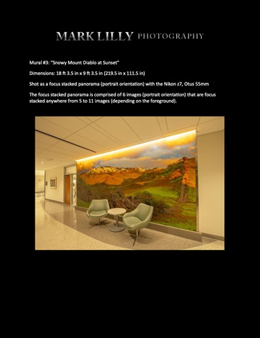 A photo of a wall with art on it. 