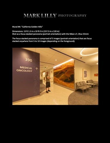 A photo of a wall with art on it. 