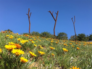 An outdoor abstract sculpture. 