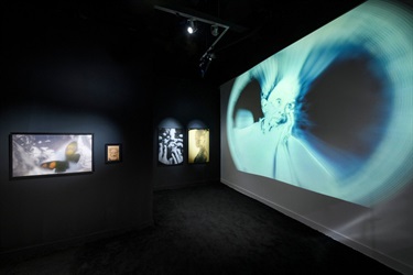 An art installation inside a gallery. 