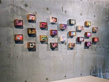 A series of framed paintings on a grey wall.