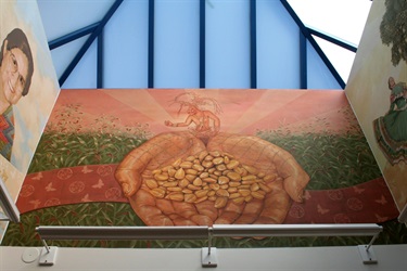 A mural of two open  hands holding kernels of corn in a community center.