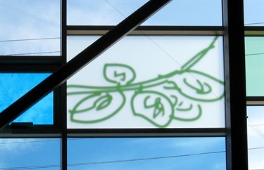 Blue and green designs on rectangular window panes inside a library. 