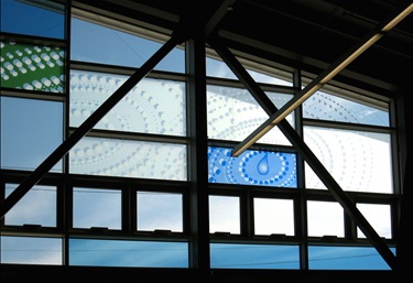 Blue and green designs on rectangular window panes inside a library. 