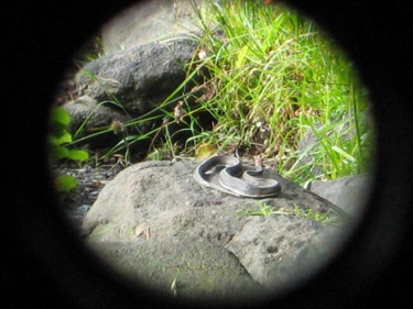 The view through the peephole showing a sculpture of a snack on a rock.