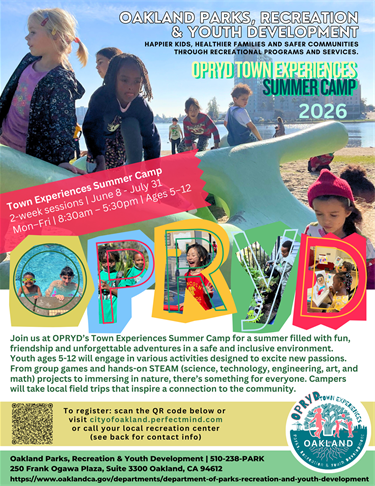 Town Experiences Summer Camp 2026_pg1 flyer