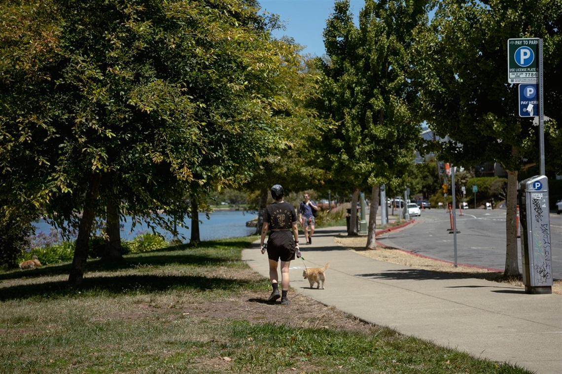Lake Merritt People Walking