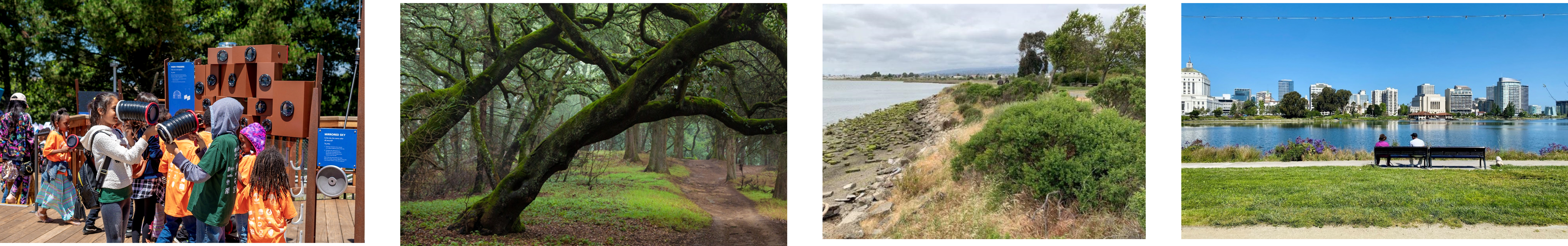 OSCAR collage of green spaces across Oakland
