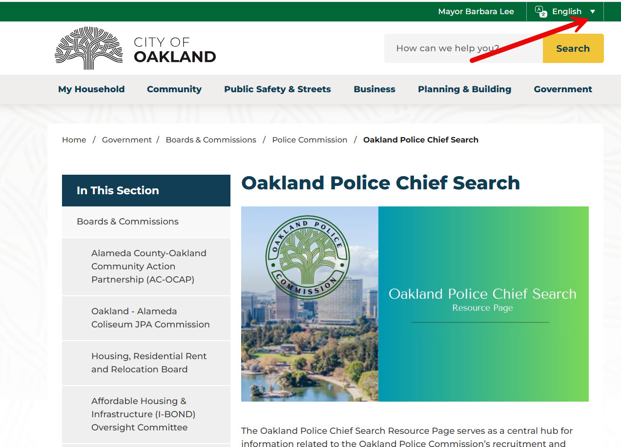 Screenshot Language Translation2.jpg