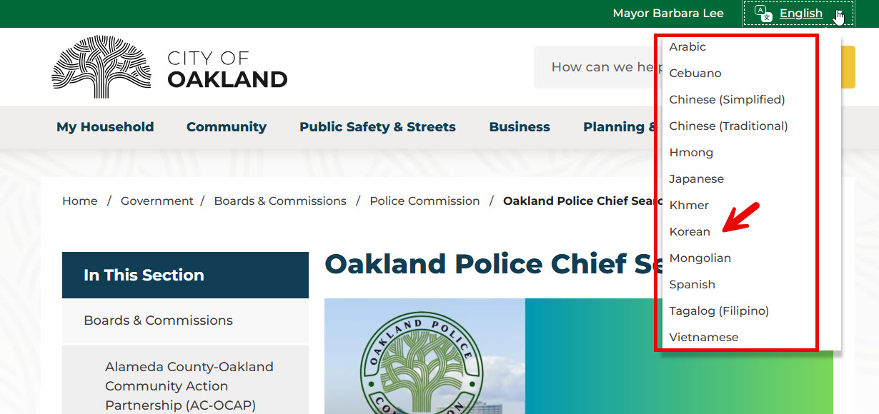 Screenshot Language Translation2.jpg