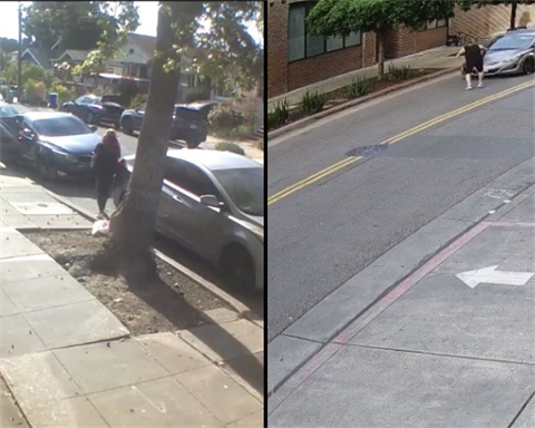 Hit and Run 3-25-26 (1).png