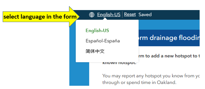 choose language instruction for survey123 form.png