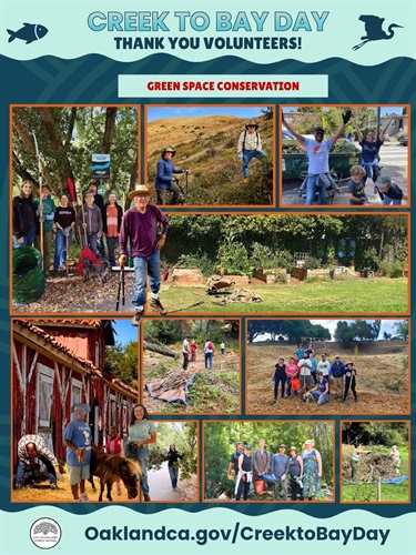 Green Space Conservation.jpg