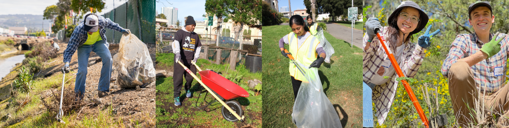 Environmental Stewardship Collage.png