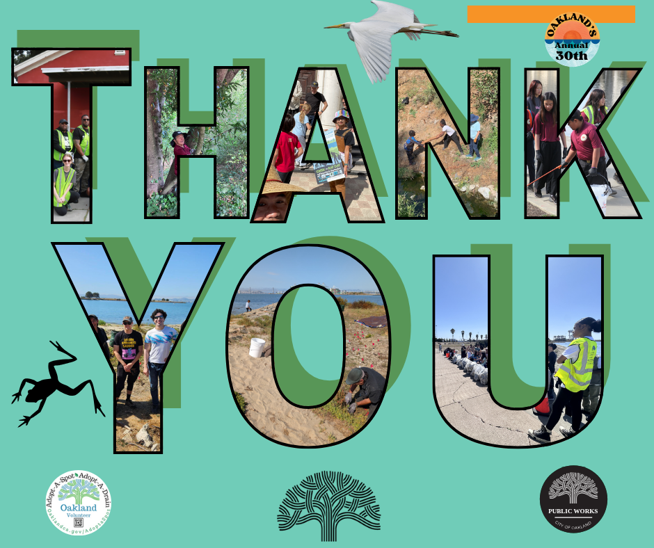 Thank you Volunteers! Thank you, each letter is a picture of Volunteers