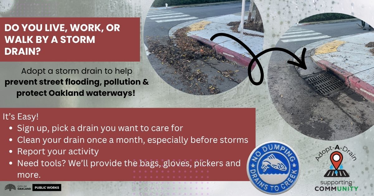 Do you live, work, walk by a a storm drain.jpg