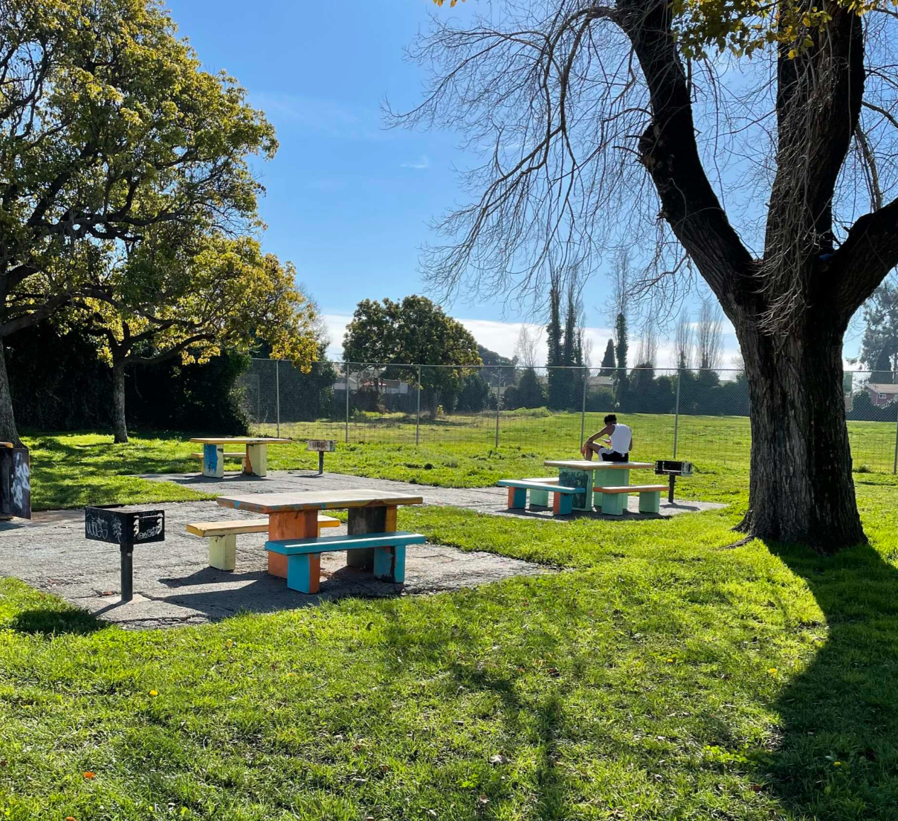 Before Image of Benches at Sobrante Park