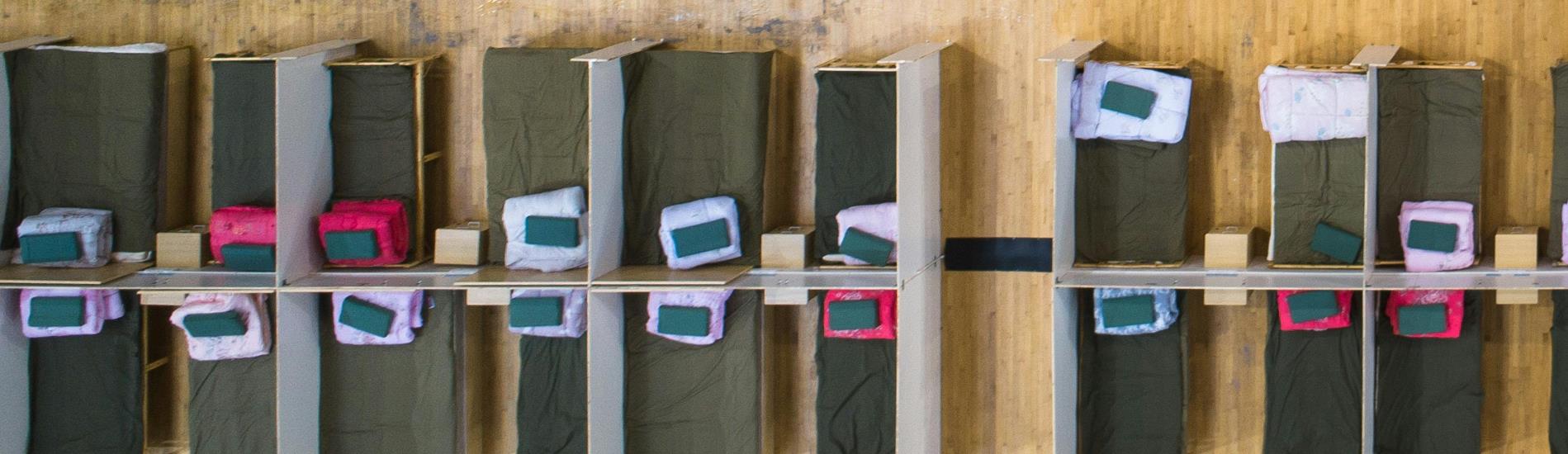 Two rows of cots in an emergency shelter.